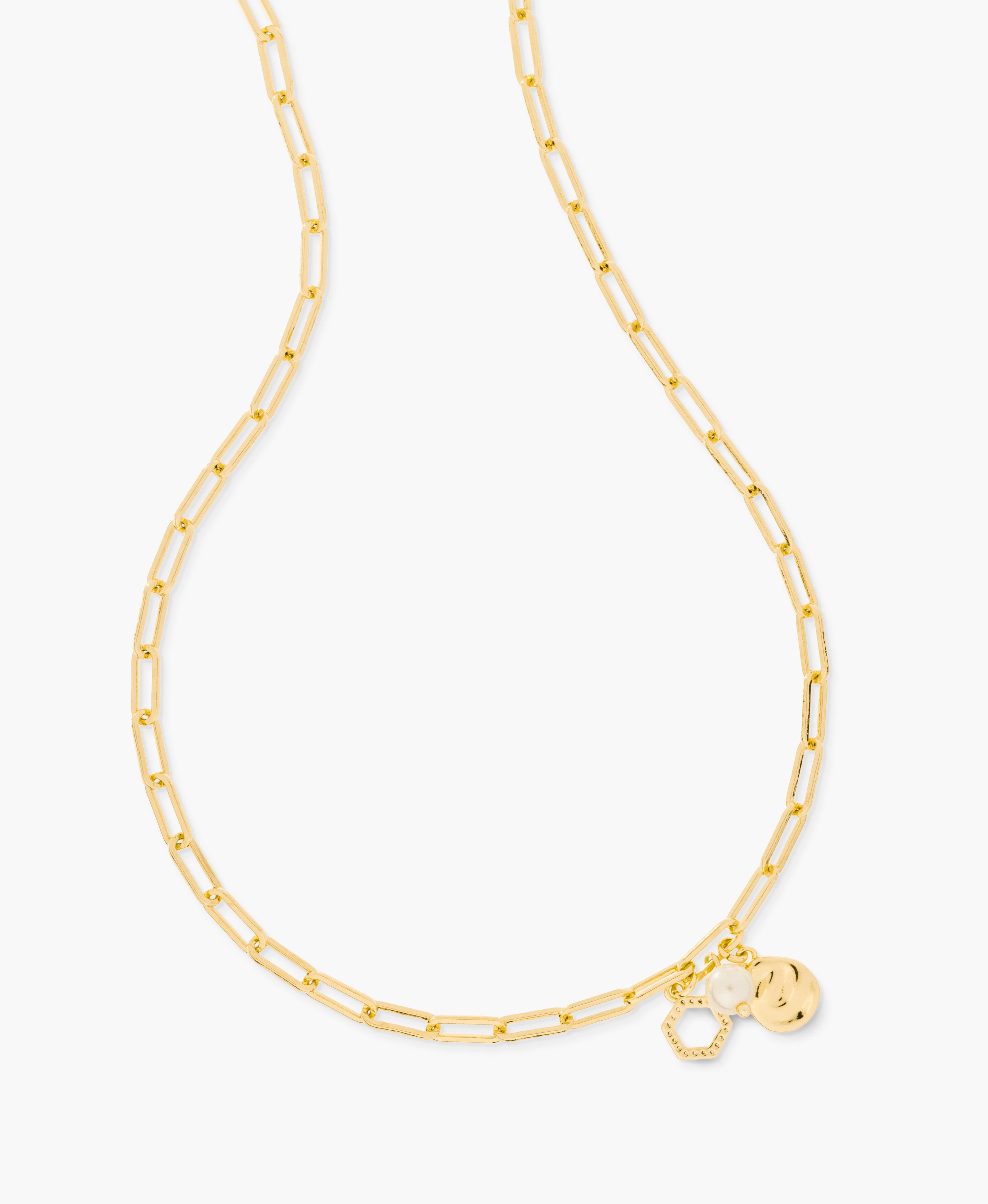Paperclip Chain Necklace with Mixed Charms